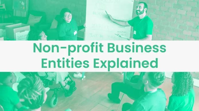 non-profit-business-entities