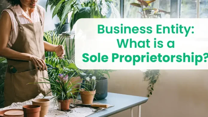 business-entity-sole-proprietorship
