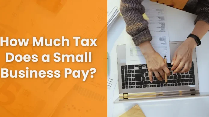 how-much-does-a-small-business-pay-in-taxes